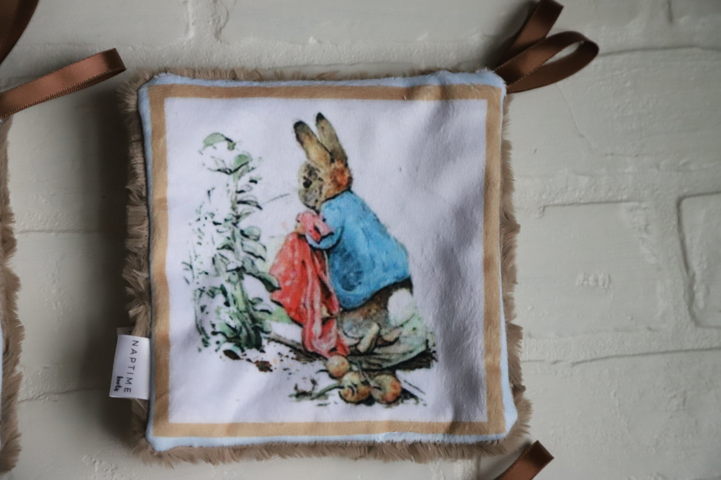Peter Rabbit Paci Mini Lovey