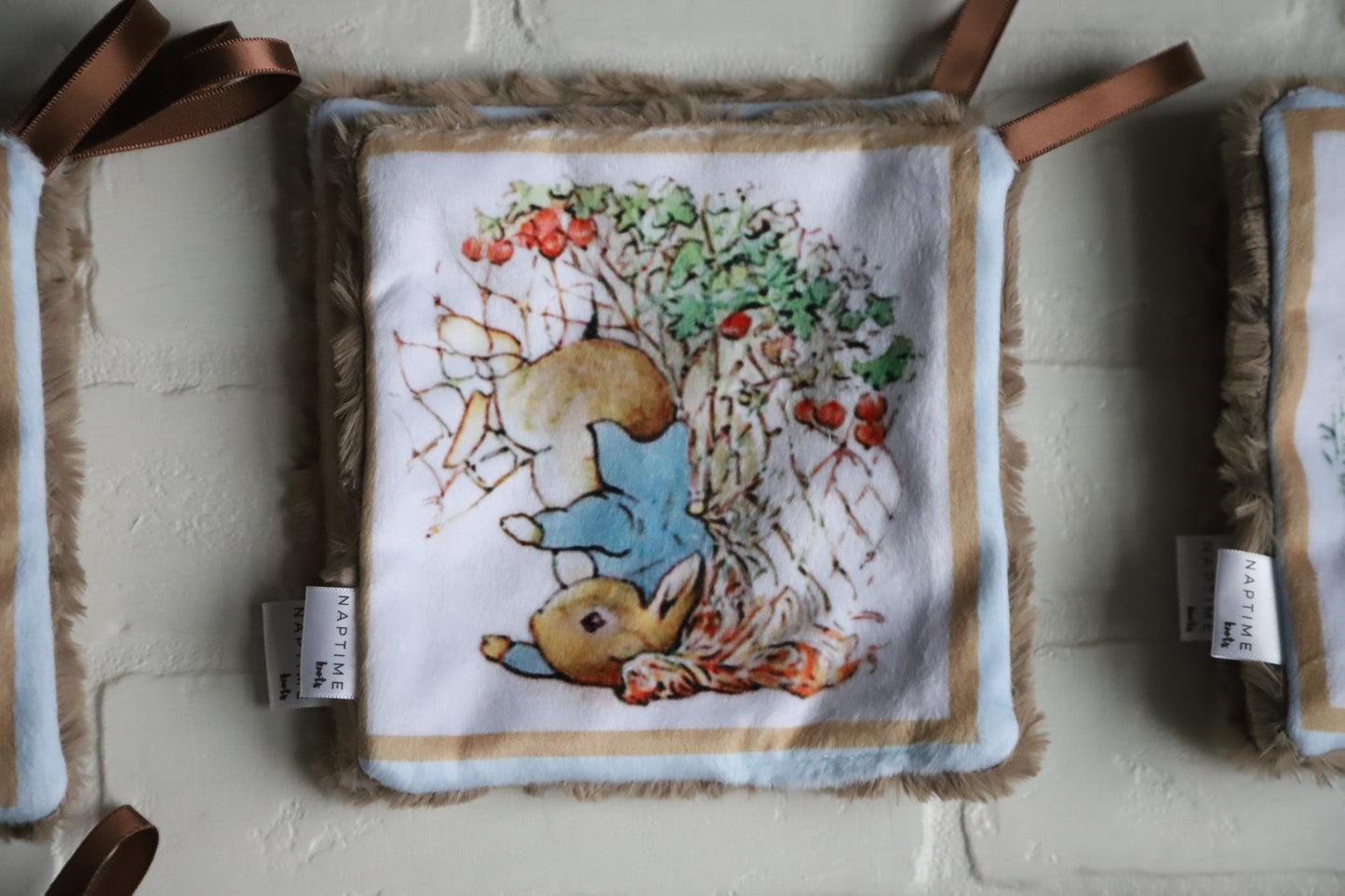 Peter Rabbit Paci Mini Lovey