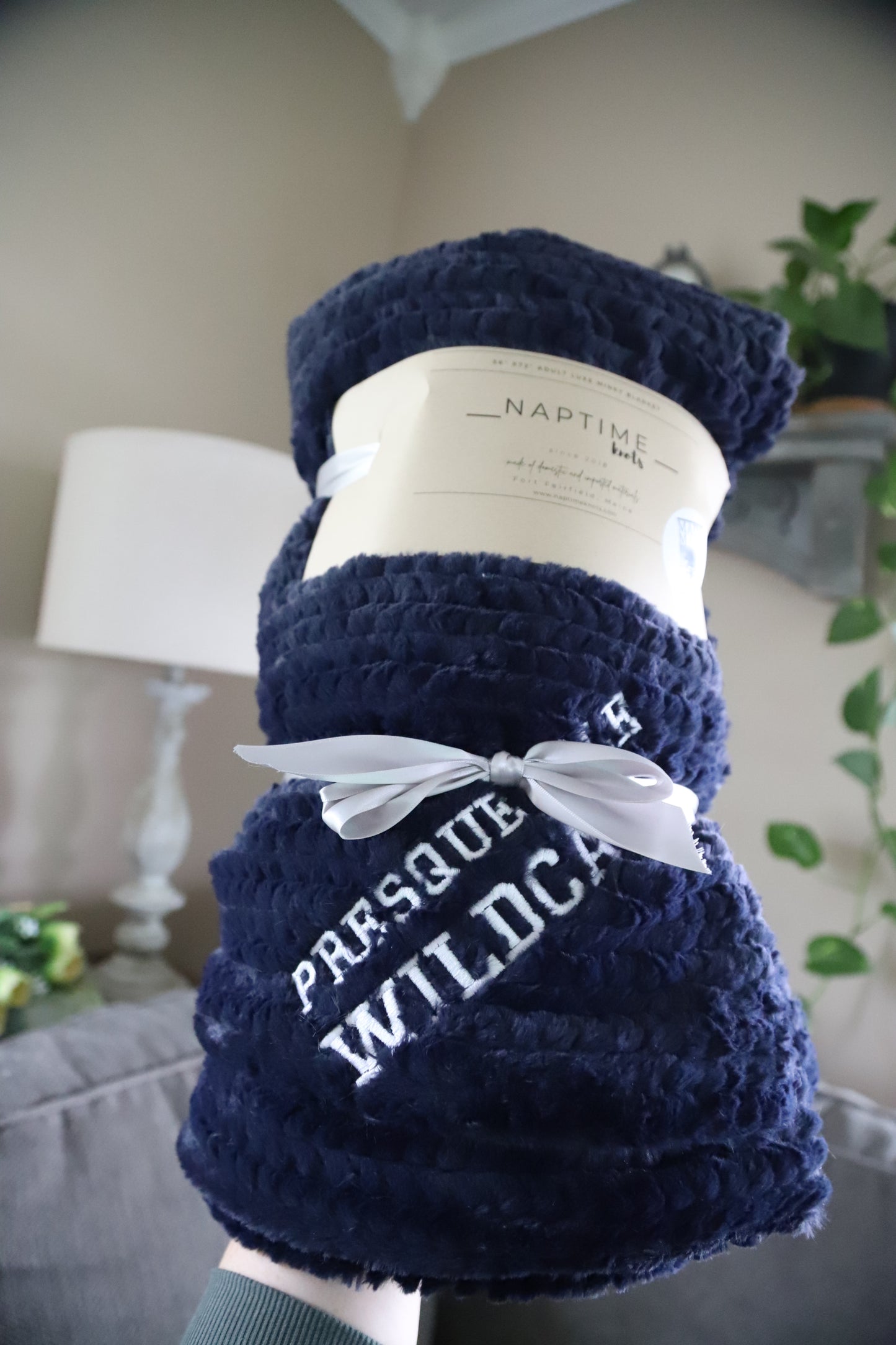 VIKING + WILDCATS Adult Double Sided Minky Blankets