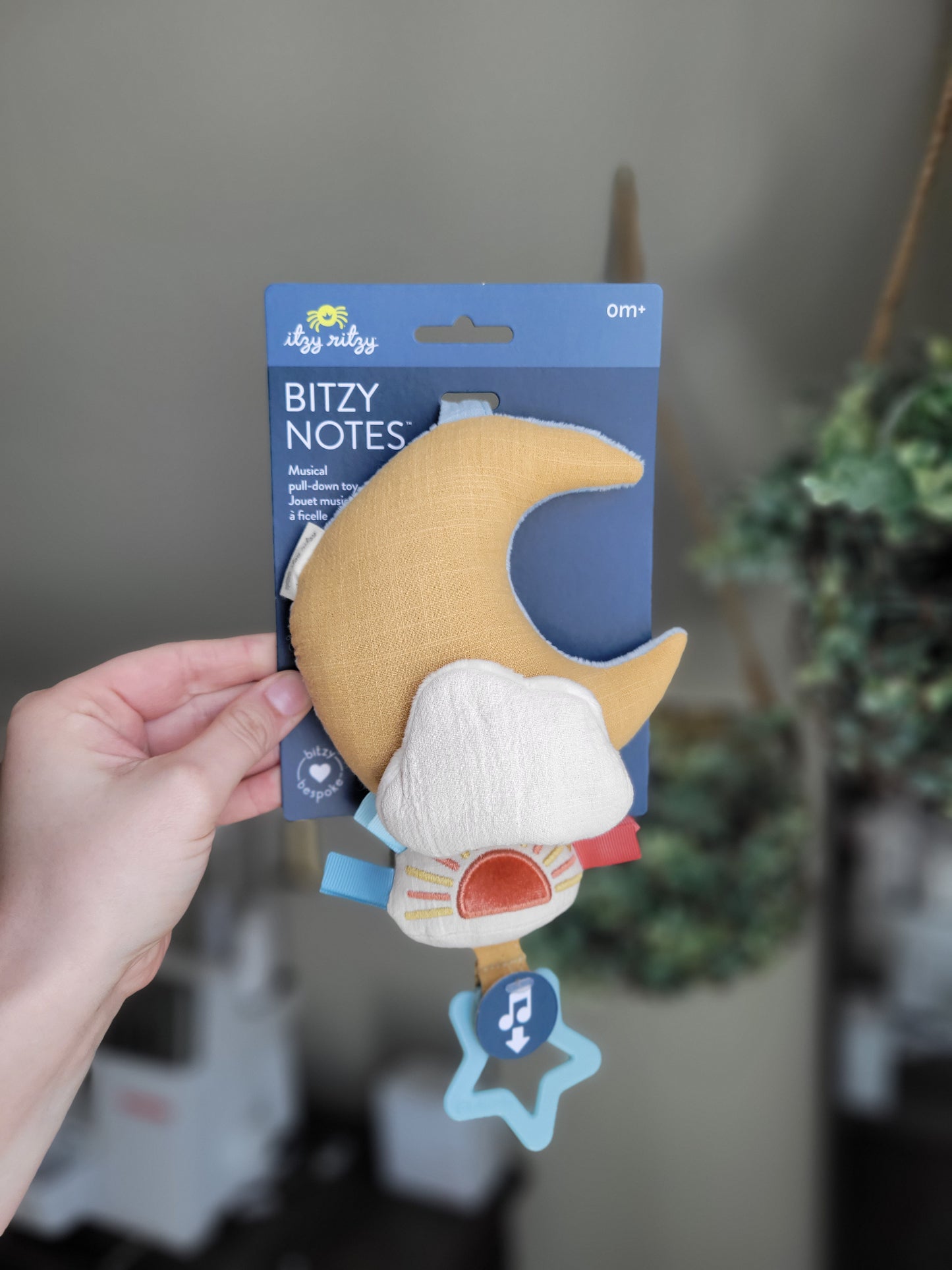 Bitzy Notes™ Musical Pull-Down Toy Cloud/Sun