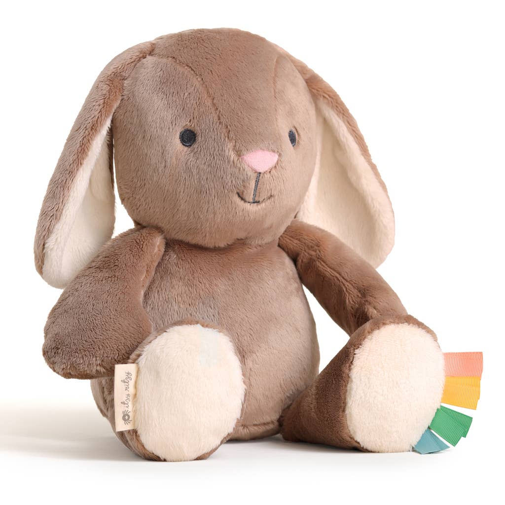 *NEW* Sweetie Snuggles™ Plush: Goose