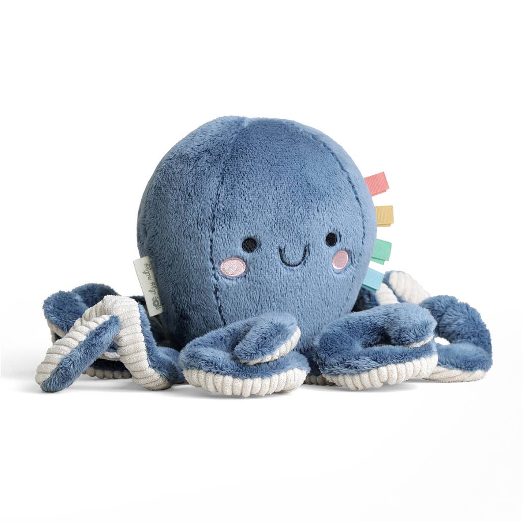 *NEW* Sweetie Snuggles™ Plush: Goose