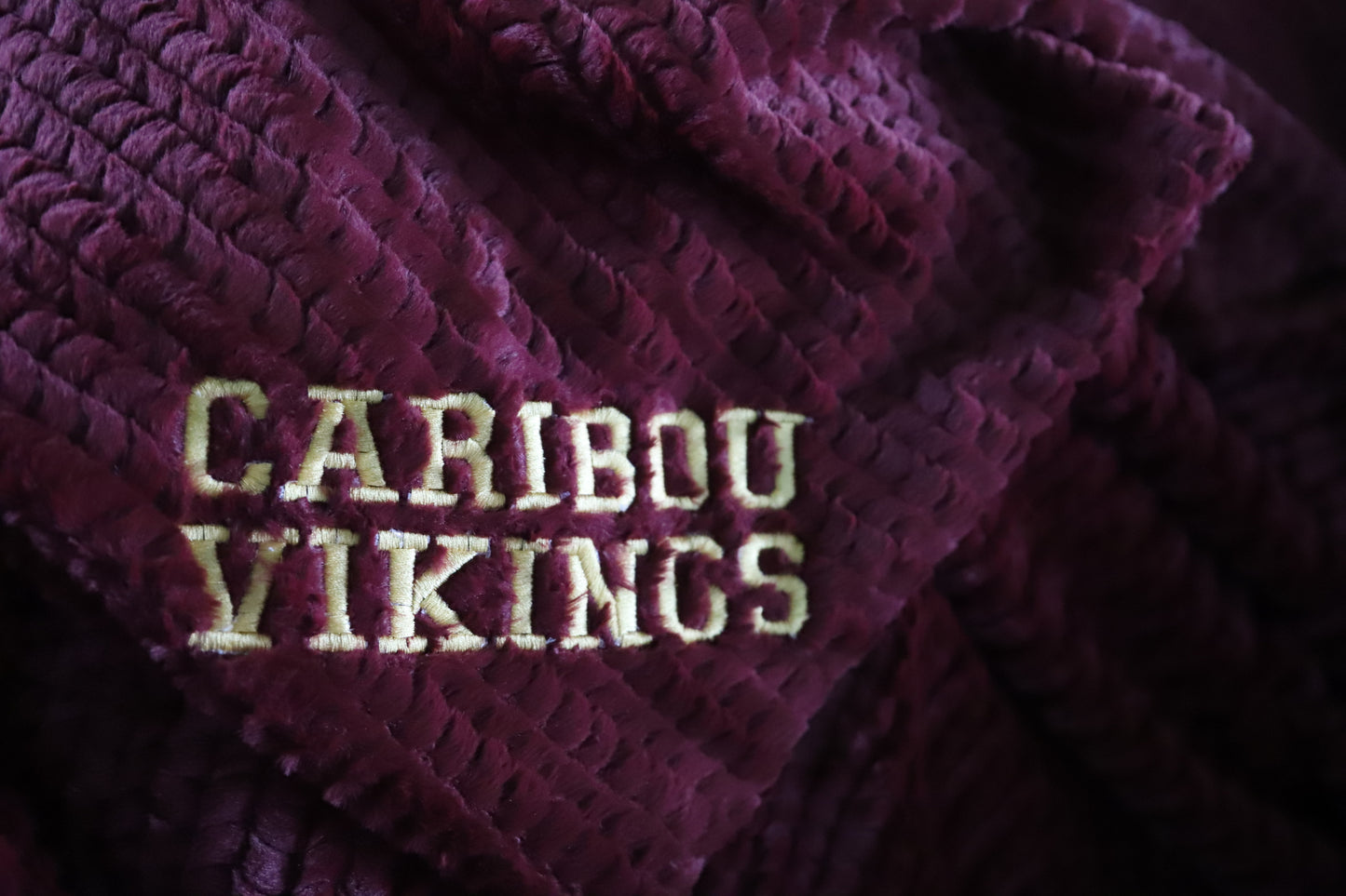 VIKING + WILDCATS Adult Double Sided Minky Blankets