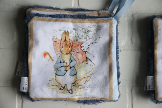 Peter Rabbit Paci Mini Lovey