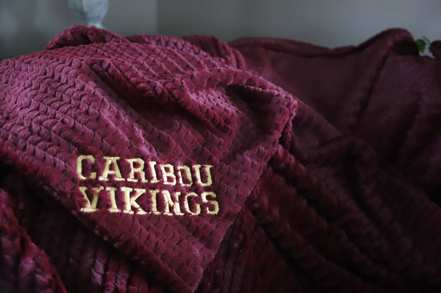VIKING + WILDCATS Adult Double Sided Minky Blankets