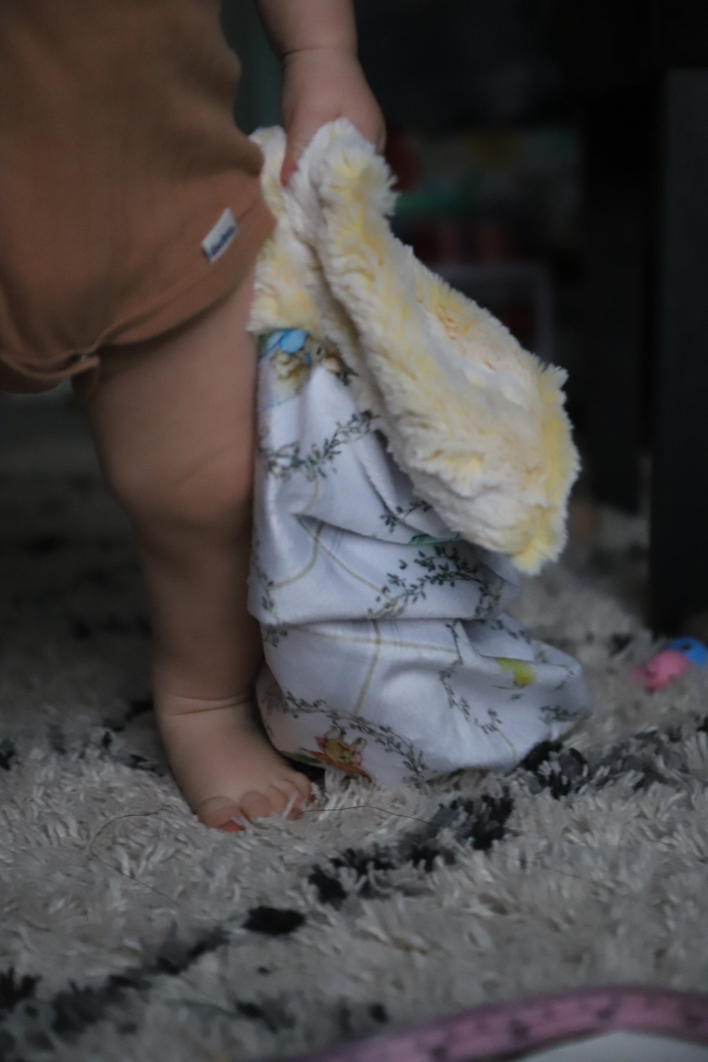 Peter Rabbit Lovey Blanket