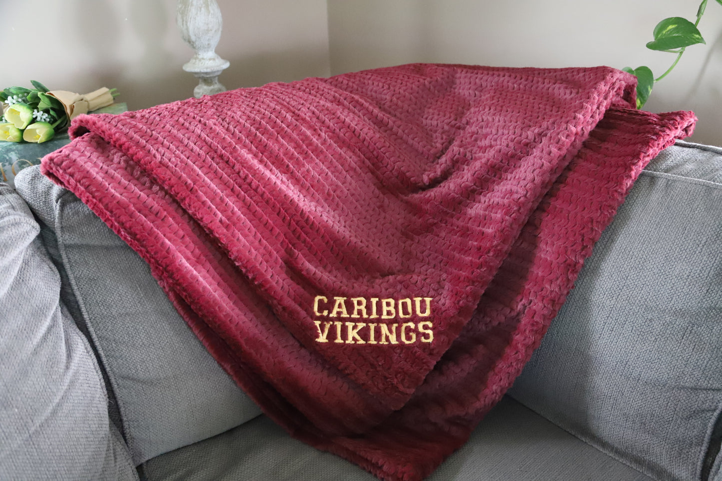 VIKING + WILDCATS Adult Double Sided Minky Blankets