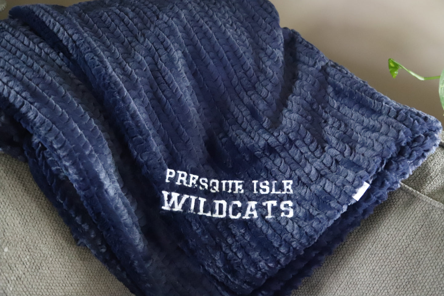 VIKING + WILDCATS Adult Double Sided Minky Blankets