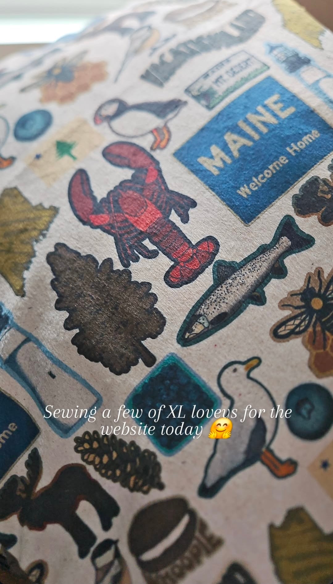 MAINE Welcome Home XL Lovey Blanket (larger size)